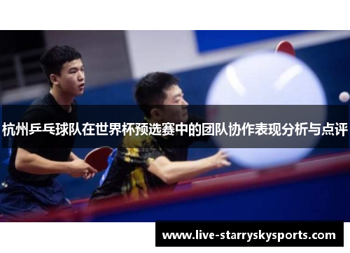 杭州乒乓球队在世界杯预选赛中的团队协作表现分析与点评