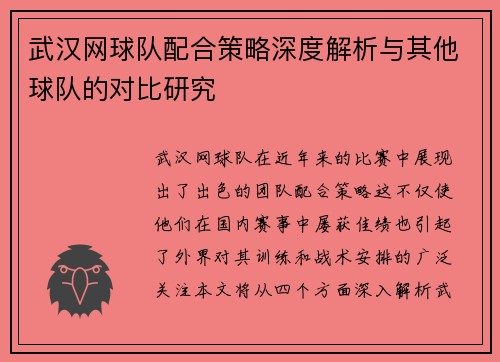 武汉网球队配合策略深度解析与其他球队的对比研究